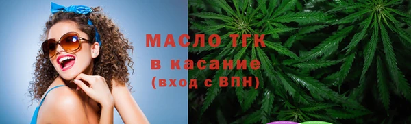 соль ск Кулебаки