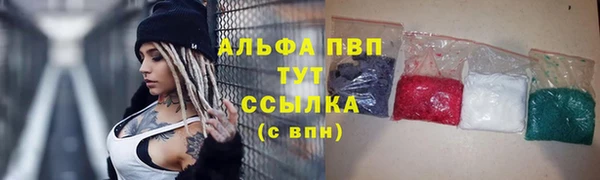 хмурый Кукмор