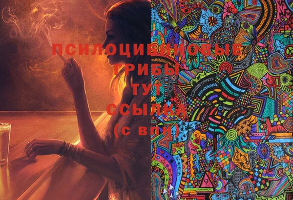 соль ск Кулебаки