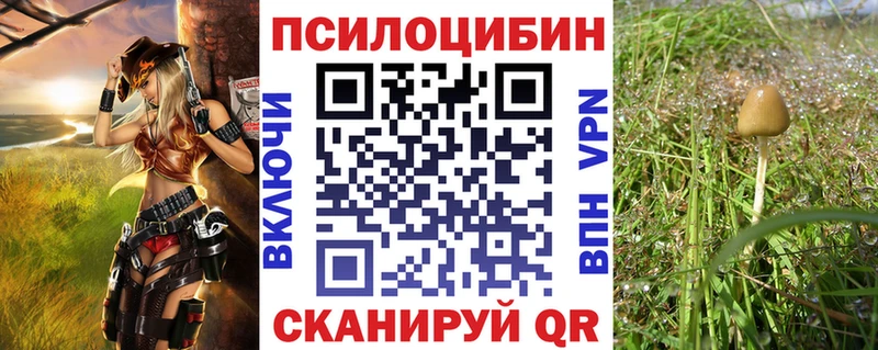 Галлюциногенные грибы ЛСД  где купить   Холм 